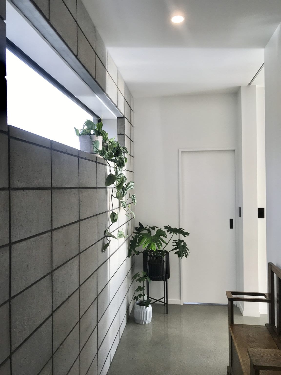 Hallway lined with a dark tiled wall, with a plant at the far end